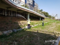 대전 중구, 하절기 민간대행 방역소독사업 실시