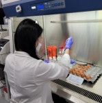 세종시, 산란계 농장...계란 안전성 검사 집중 실시