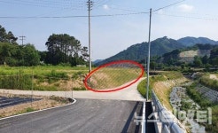 금산군 공무원 결탁 여부 증거될 창고사진 단독 입수