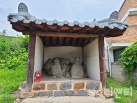세종시, 미곡리 미륵불·보광사 칠성도 등 4건...향토문화유산 지정·고시