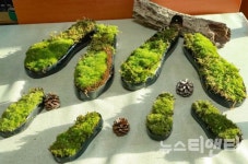 대전충남녹색연합 마스크가 아닌 초록의 숨을