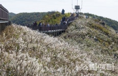 충남도, 내포문화숲길...국가숲길 반열에 올라