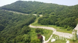 충남도, 내포문화숲길...국가숲길 반열에 올라