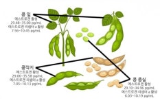 버려지던 콩깍지, 알고 보니 효능 많네