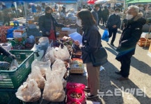 충남도, 설 제수품목 부정유통 차단 총력