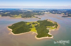 서산시 가로림만, 해수부 갯벌식생 복원사업 150억 원 확보