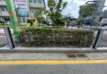 청주시, 저단형 공공현수막 지정게시대 확대 설치