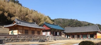 [포토] 천년의 숲길 웃는? 소나무