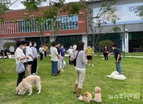 대전반려동물공원, 2022 하반기 반려동물 교육 프로그램 운영