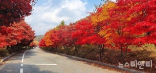 대둔산도립공원, 가을맞이 단풍 산책로 단장