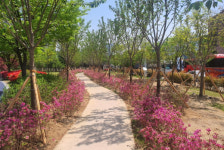 천안시, 도시 바람길 숲 조성 완료