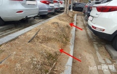 [포토] 대전시의회 주차장 지름길?
