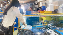 서산시, 안전한 삼길포 우럭축제를 위해 막바지 위생점검 총력