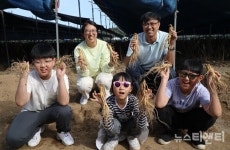 [포토] 금산세계인삼축제, 실속 만점 인삼캐기 체험여행