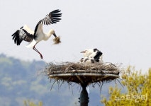 예산황새공원, 국가생태탐방로 및 생태관광지역 동시 지정