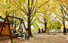 [포토] 제9회 청라은행마을 축제 진행