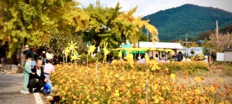 [포토] 제9회 청라은행마을 축제 진행