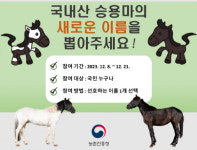 국내산 승용마 새로운 이름 지어 주세요