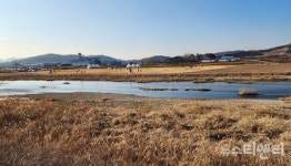 집단 민원에 선심 행정?...금산군, 봉황천변 파크골프장 조성 논란