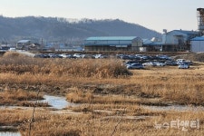 집단 민원에 선심 행정?...금산군, 봉황천변 파크골프장 조성 논란