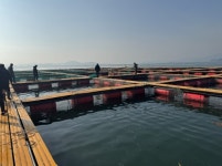 충남도, 서해 중·남부 연안 저수온 특보 전면 해제