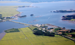 서산·태안 천수만밸트...미래 먹거리 보고로 급부상