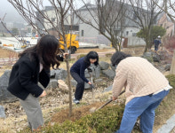 세종시 고운동, 실개천 산책로 도화길 조성