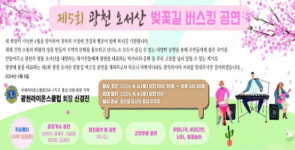 제5회 광천 오서산 벚꽃길 버스킹 공연, 6일 개최
