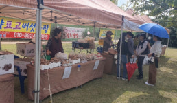 서산시, 10돌 맞는 해미읍성 정례 직거래장터 개장