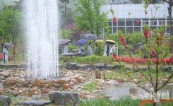 세종시 고운동, 실개천 도화길 걷기 행사 성료