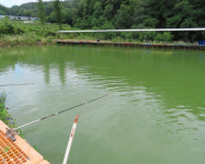 보은군, 낚시터 운영 실태 및 안전 점검 추진