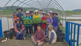 홍성군 결성면 원천마을, 조롱박 축제 준비 박차