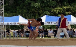 [포토] 제76회 충청남도민체육대회 성황...15개 시·군 선수단 각축전