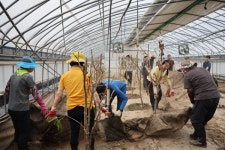 [포토] 서천군의회, 수해복구 봉사활동 구슬땀