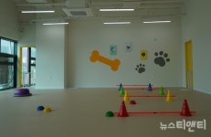 대전관광공사, 대전 반려동물 친화 인증 업체 7곳 추가 선정