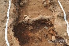 부안 진서리 요지, 고려청자가마 확인