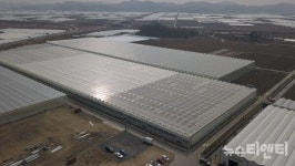 충남도, 스마트 원예단지 조성 예산군 선정...국비 20억 확보