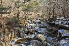 가족·연인과 걸어요...가볍게 걷기 좋은 국립공원 길 7선