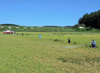 태안군, 영세·고령농가 벼멸구 긴급 방제 지원