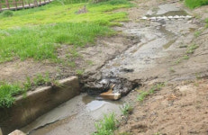 청주시, 율봉근린공원 맹꽁이 서식처 복원한다