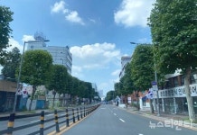 대전 중구, 대종로 일원 사각 가로수길 조성 완료