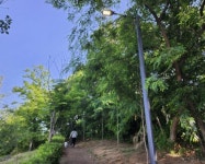 청주시, 공원 34개소 노후가로등 LED 조명으로 교체