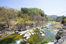 단양군, 선암골 일원...생태관광 명소로 탄생