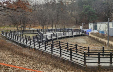 청주시, 율봉근린공원 맹꽁이 서식지 복원사업 완료