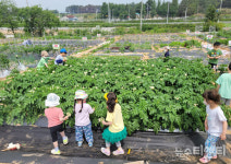 익산시, 주말 농장 참여 282가구 모집... 1년에 만 원