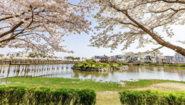 서산시, 중앙호수공원 어울광장 조성…6월 준공 목표