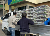 세종지역 525개 경로당에 싱싱세종 쌀 지원