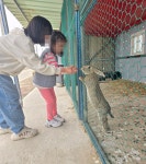 [포토] 국민의힘 대전시당 누리봉사단, 아이들과 함께하는 새콤달콤 봄나들이!!