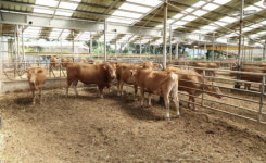 태안군, 5월 말까지 축산농가 FTA 피해보전 직불금 지급