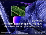 부안누에타운, 기획 작품 순회 전시 진행